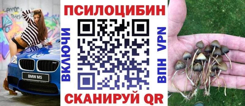 Псилоцибиновые грибы Cubensis Юрга