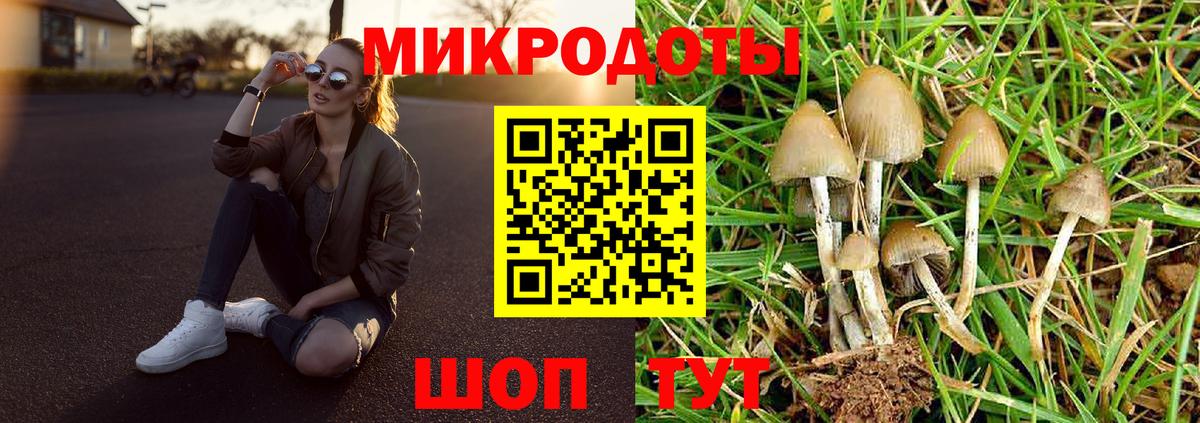 Галлюциногенные грибы Юрга